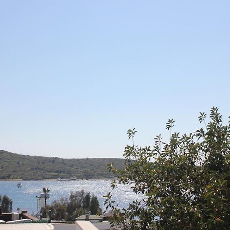 M Suite Gümbet Εξωτερικό φωτογραφία